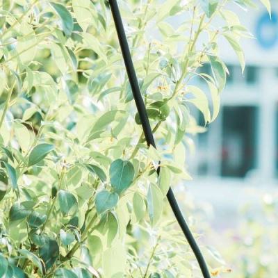 南宫体育app下载下载手机版截图